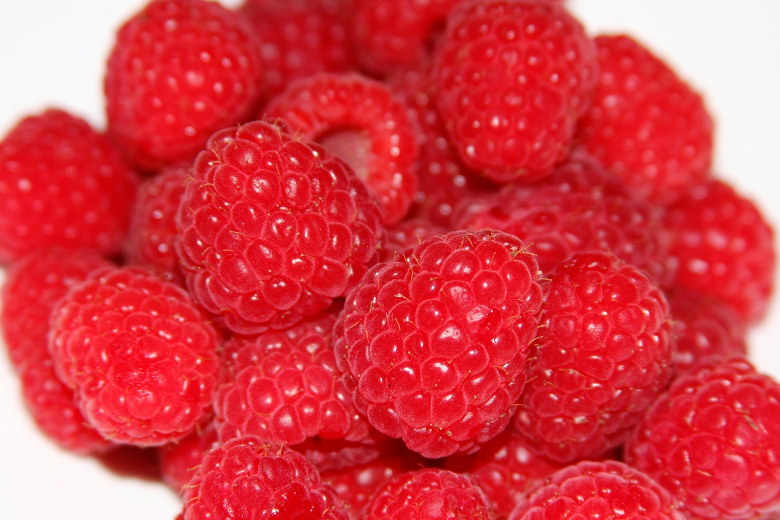 [raspberries+closeup+sm.JPG]