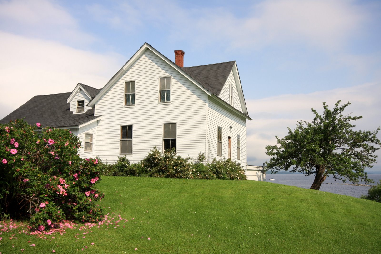 [the+house-1.JPG]