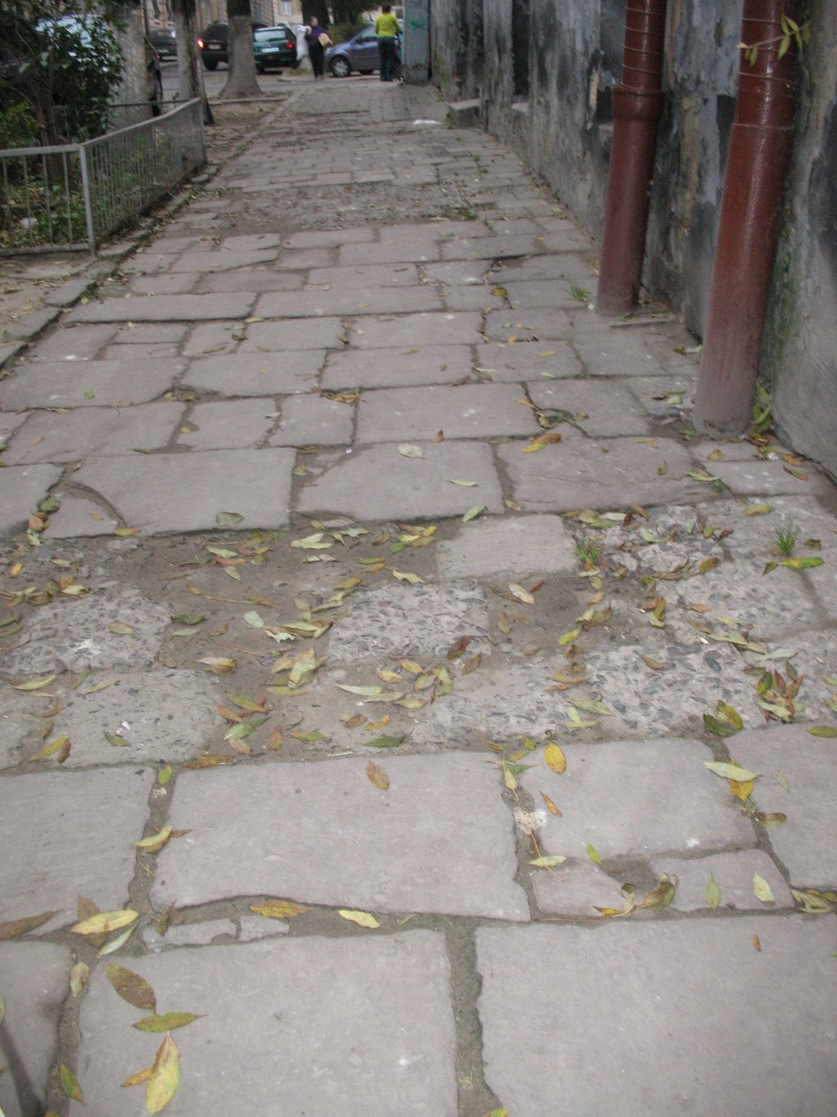 [IMG_3294.JPG]