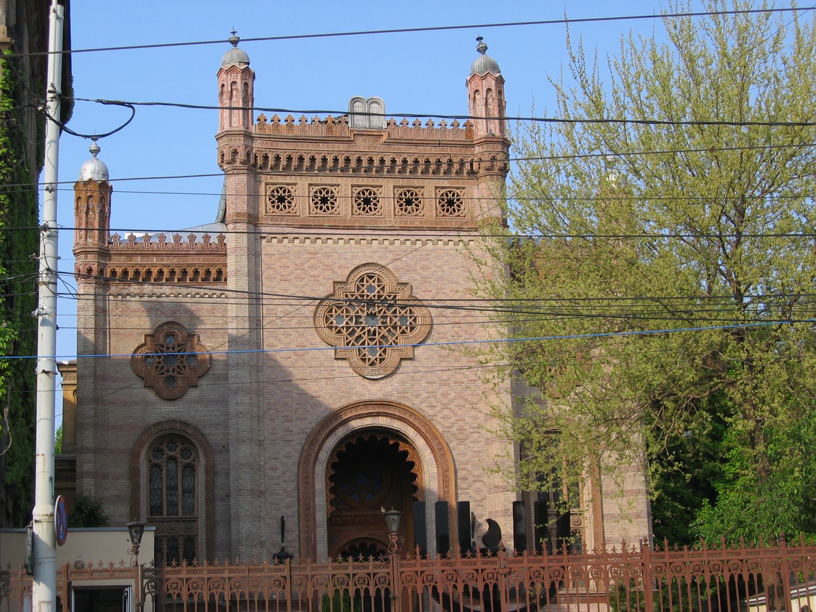 [IMG_7873.JPG]