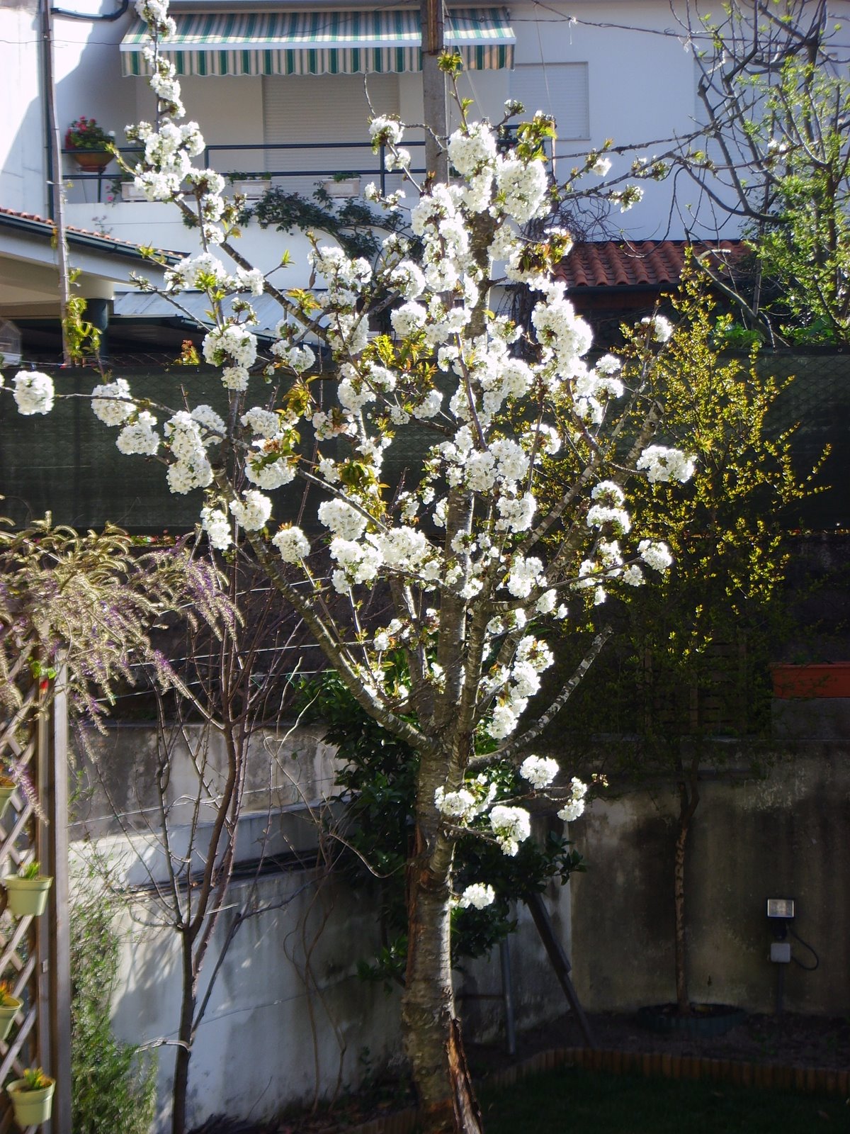 [SSL24965.JPG]
