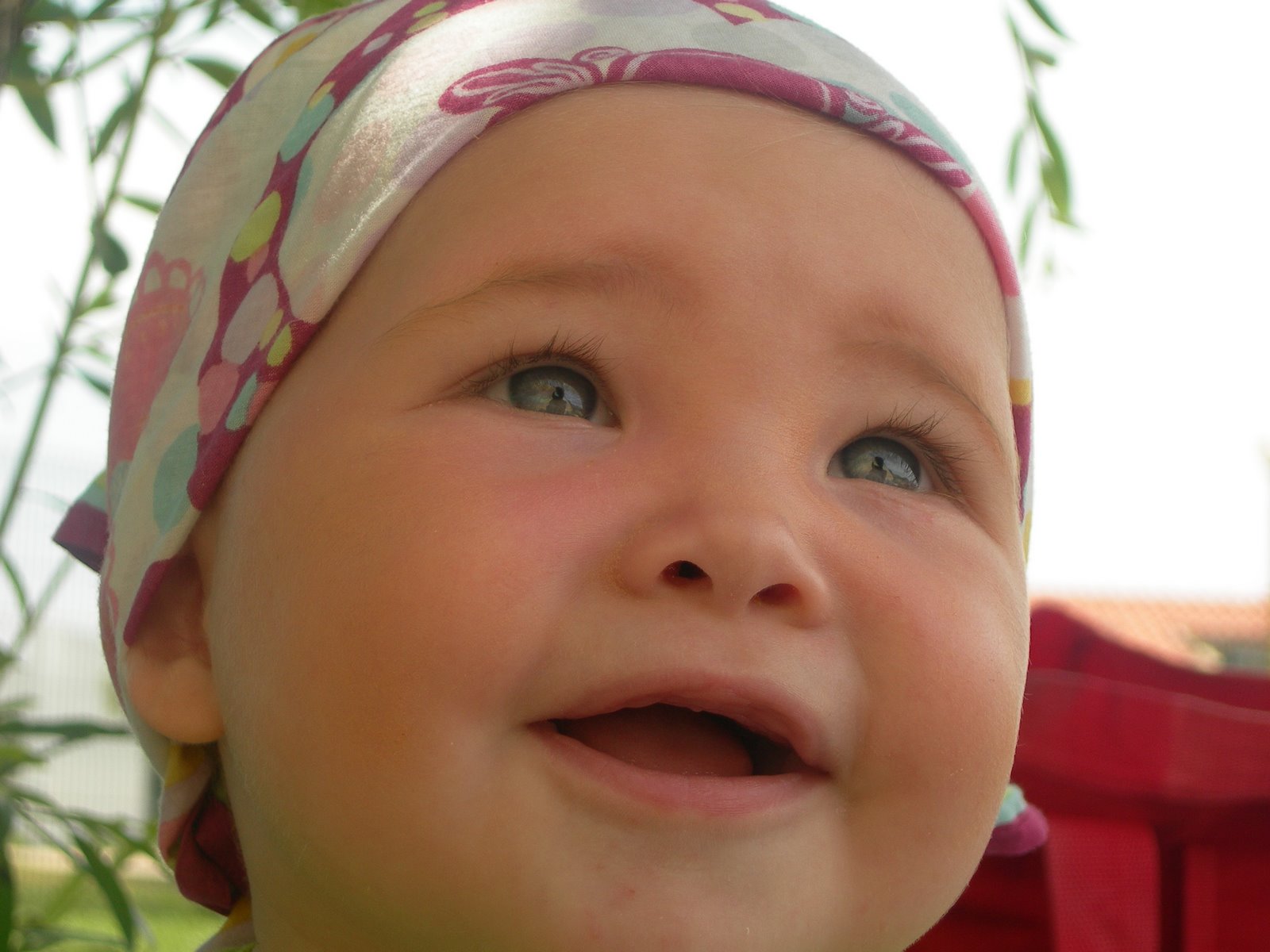 [DSCN1535.JPG]