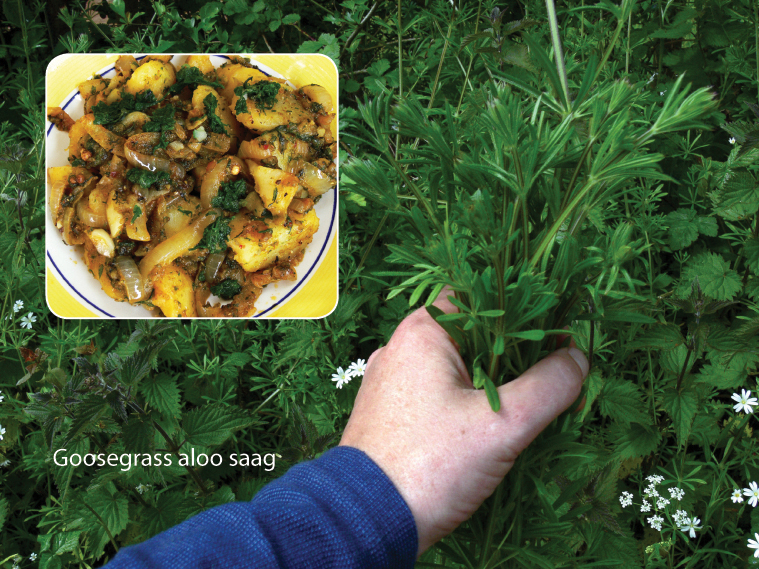 [goosegrass aloo saag.jpg]
