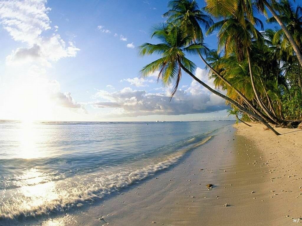 [beaches+1.bmp]