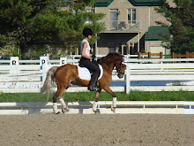 Biscuit mon poney d`école