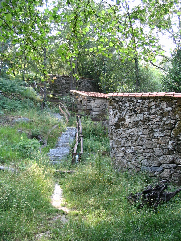 [IMG_5085.JPG]