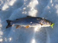 Cutthroat at ice off