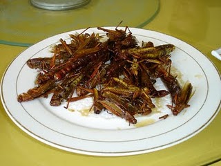 Mulher come Barata frita 🪳