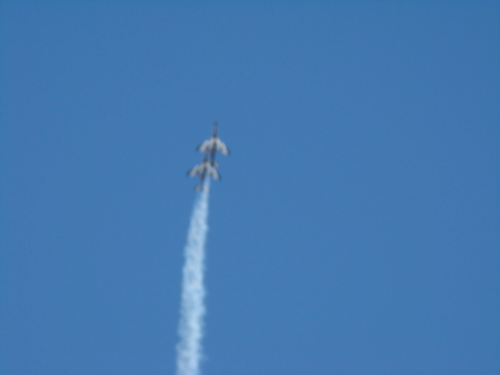 [DSC04950.JPG]