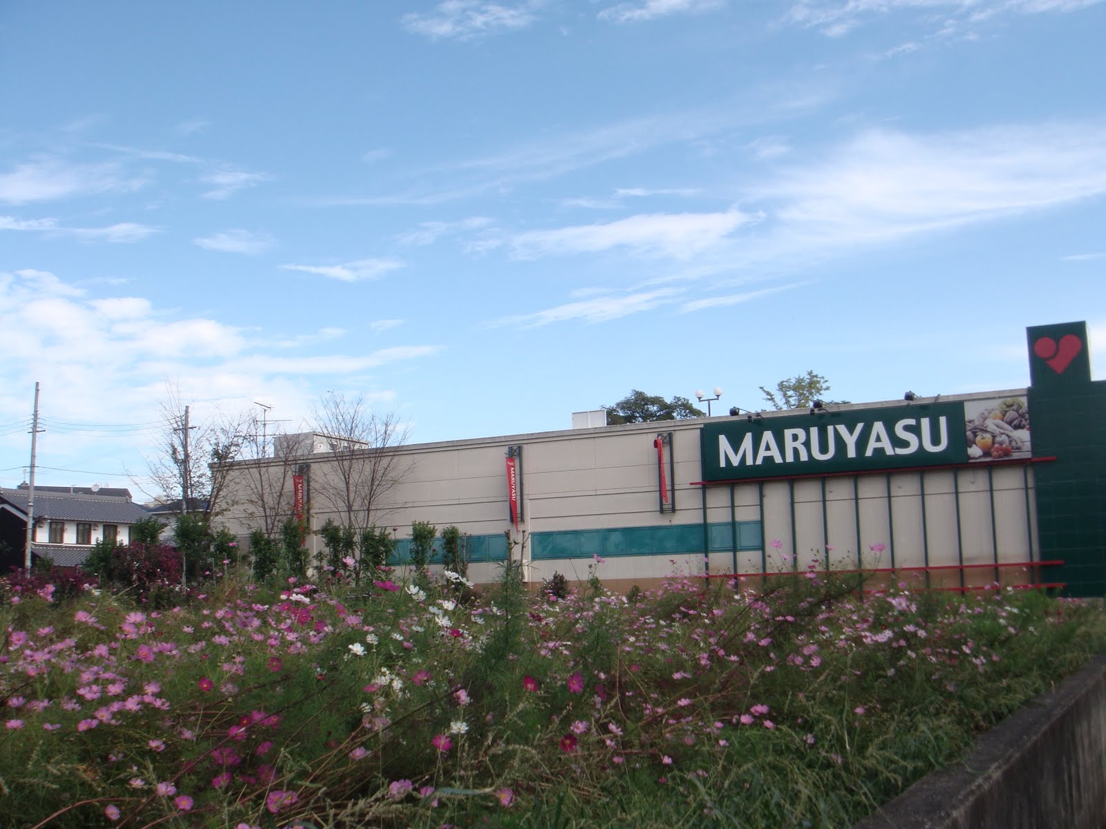 [DSC01837.JPG]