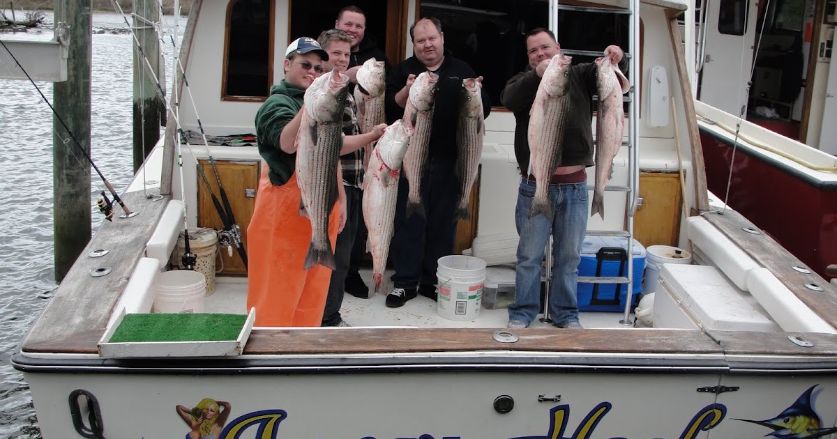 New Jersey Fishing Charters New Jersey Striper Charters Striped Bass