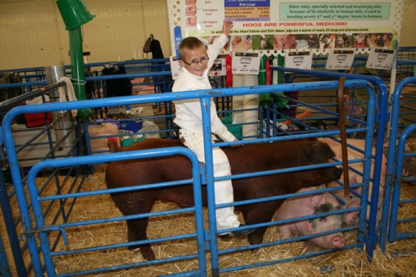 Buckin' Duroc