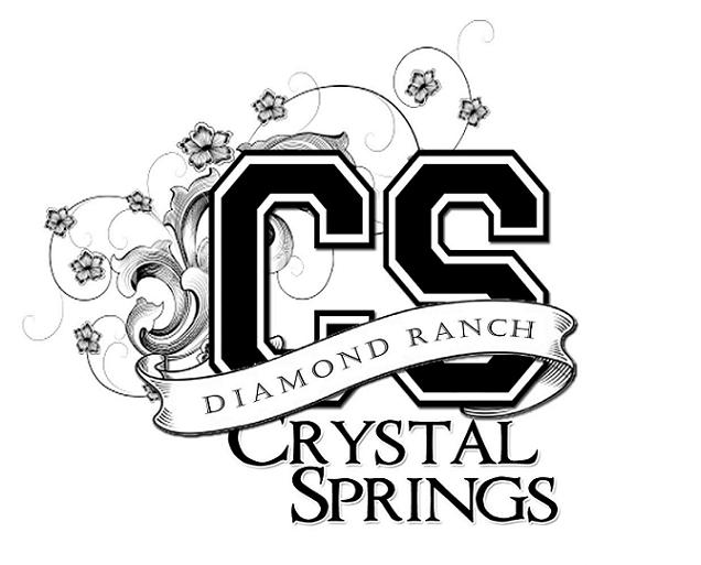 Diamond Ranch Academy