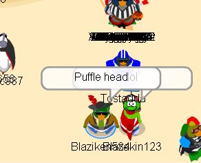 Puffle head!!