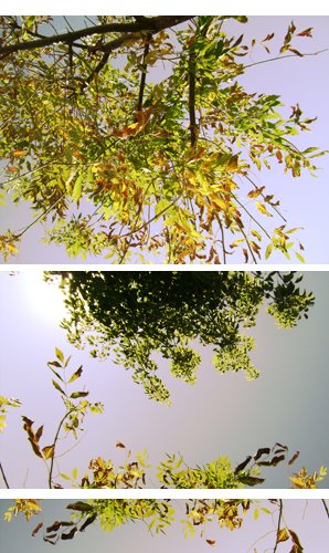 Otoño
