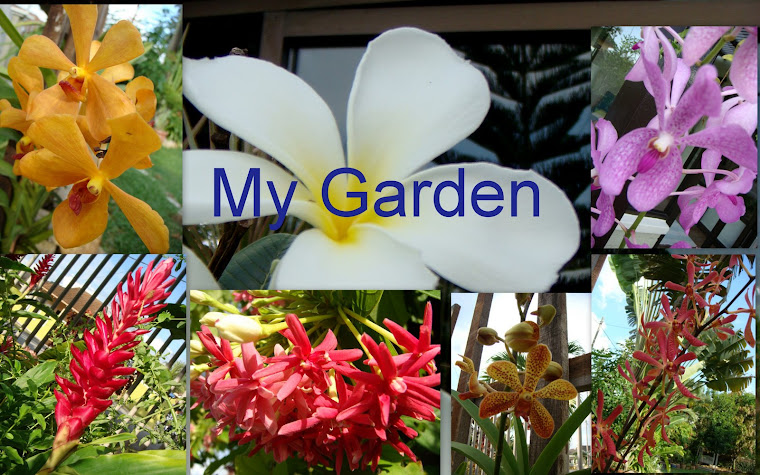 My Garden