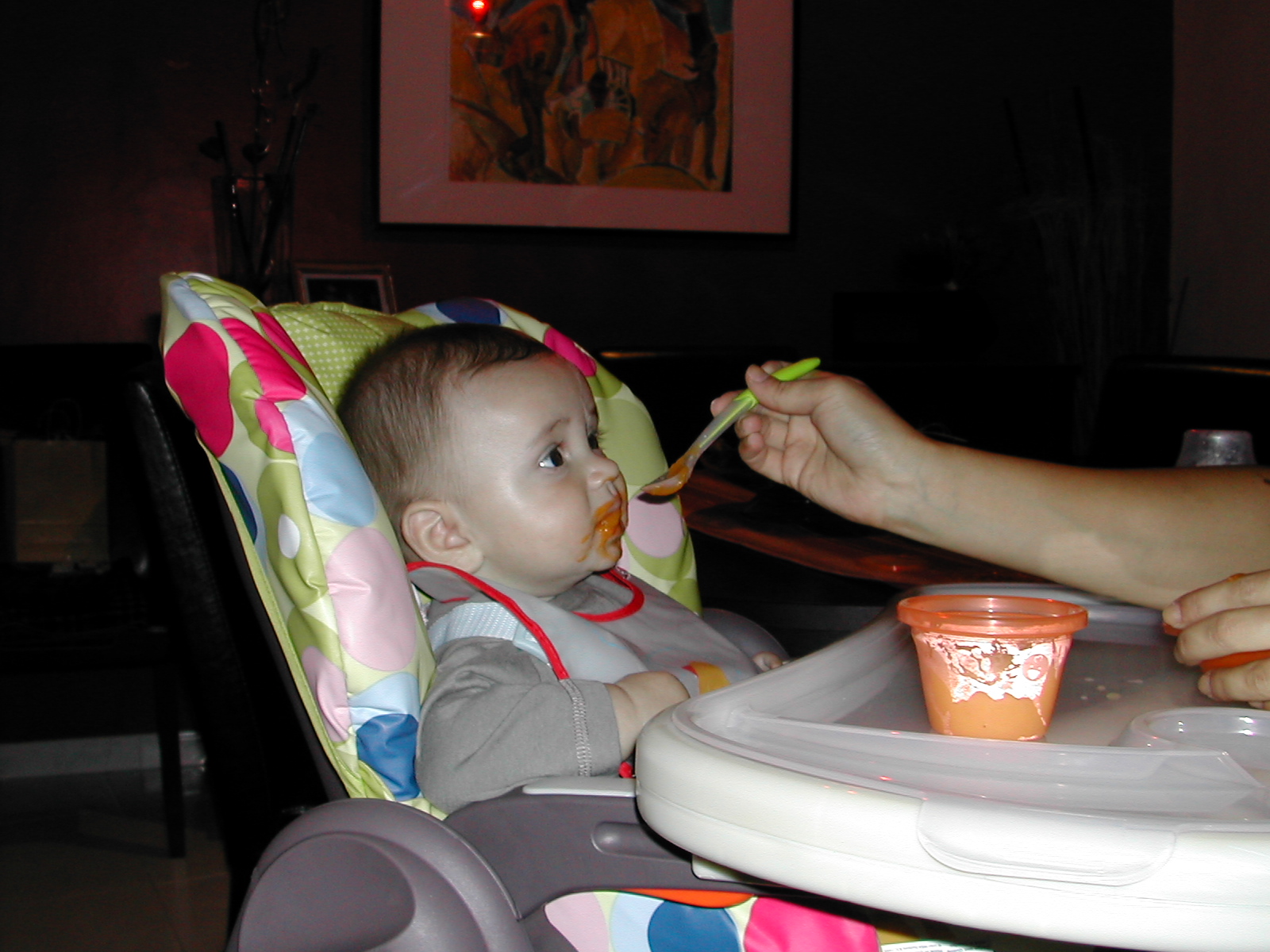 [DSCN6476.JPG]