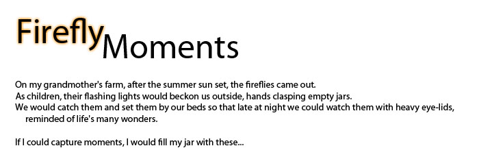 Firefly Moments