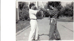Chi Na Wing Chun Kung Fu