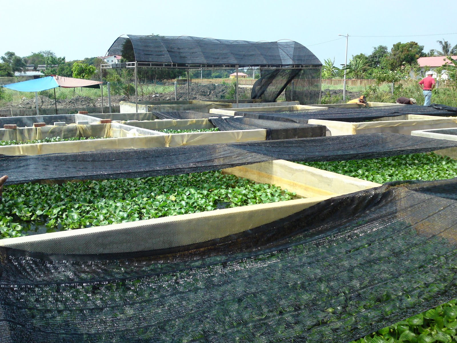 Agro Multy Trading