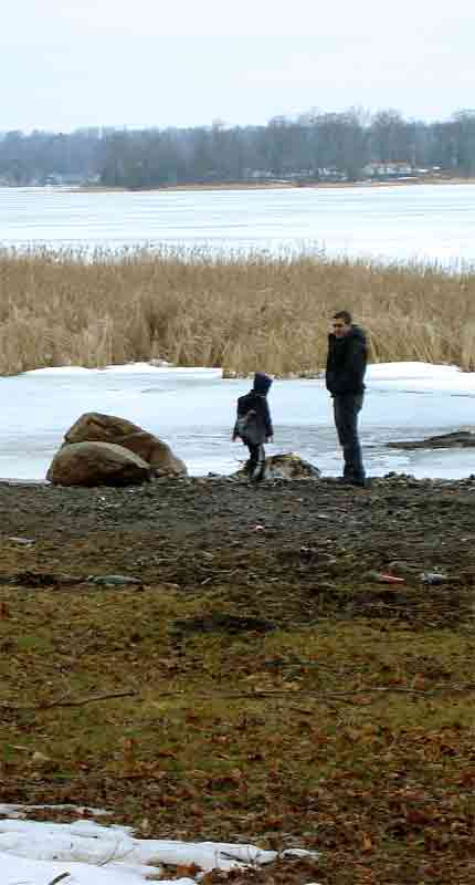 [Fossil-Hunters-web.jpg]