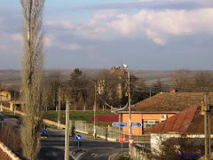 Centrul comunei Rogova