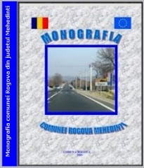 Monografia comunei Rogova