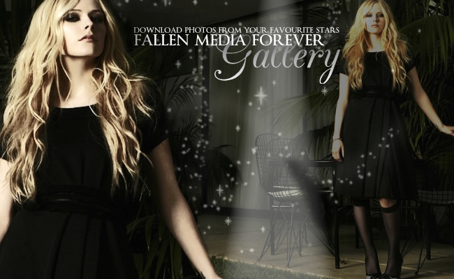 Fallen Media Forever - Gallery