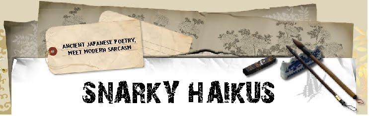 Snarky Haikus