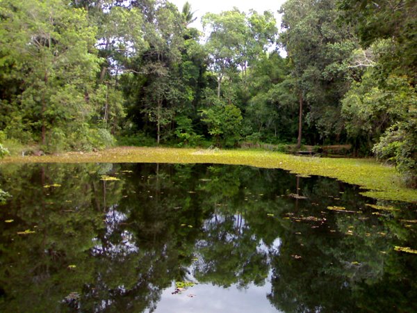 Dibalik Kerusakan Alam