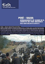 Informe FIDH