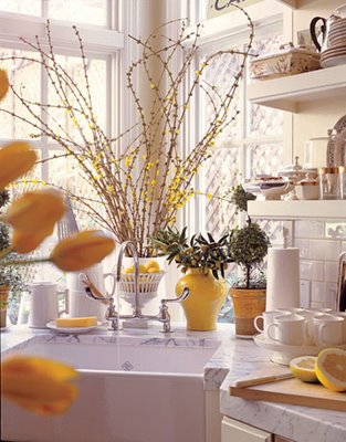 [3-4-09%20spring%20anticipation.jpg]