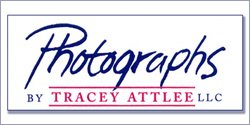 Attlee Weddings and Portraits Blog