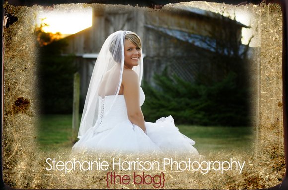 Stephanie Harrison Photography Blog
