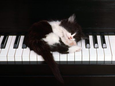 [image011.jpg]