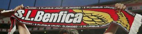 [cach.JPG]