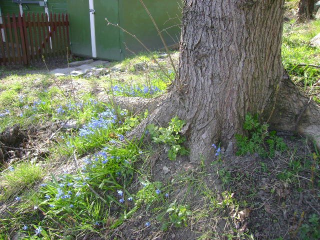 [DSC03020.JPG]