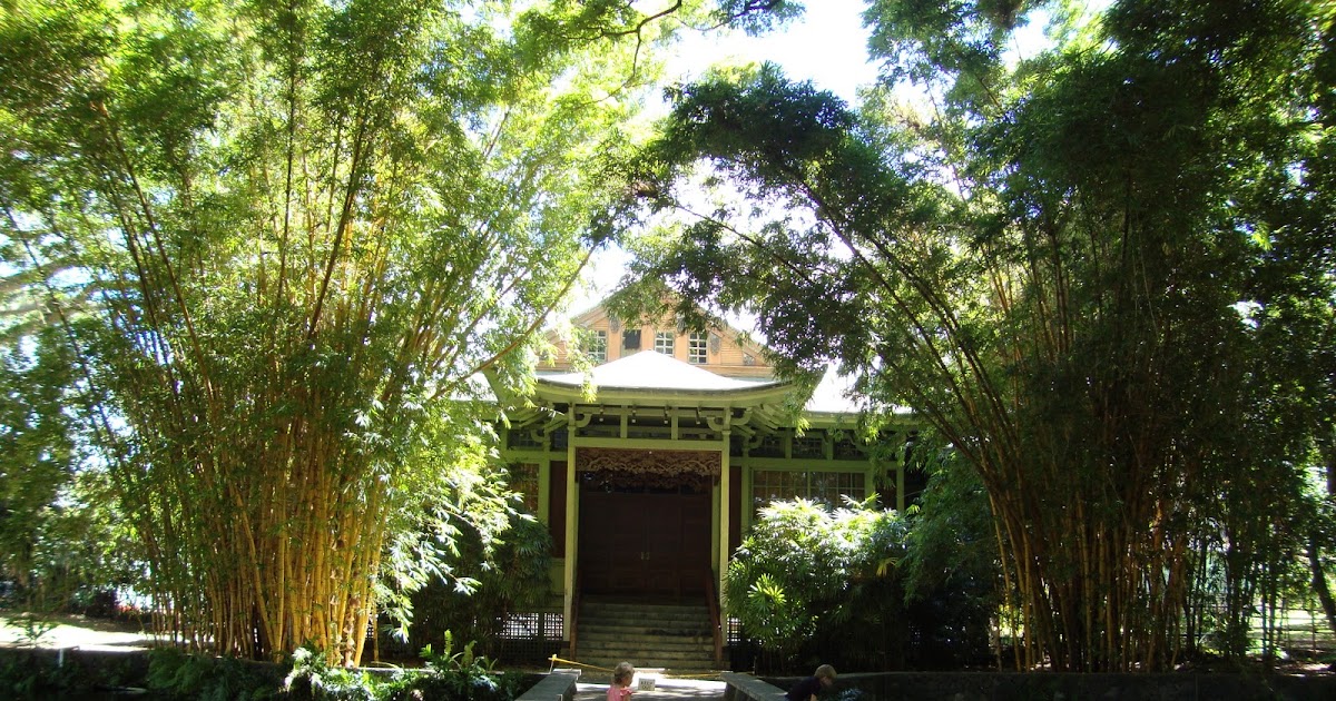 Living Life Prewitt Style Moanalua Garden