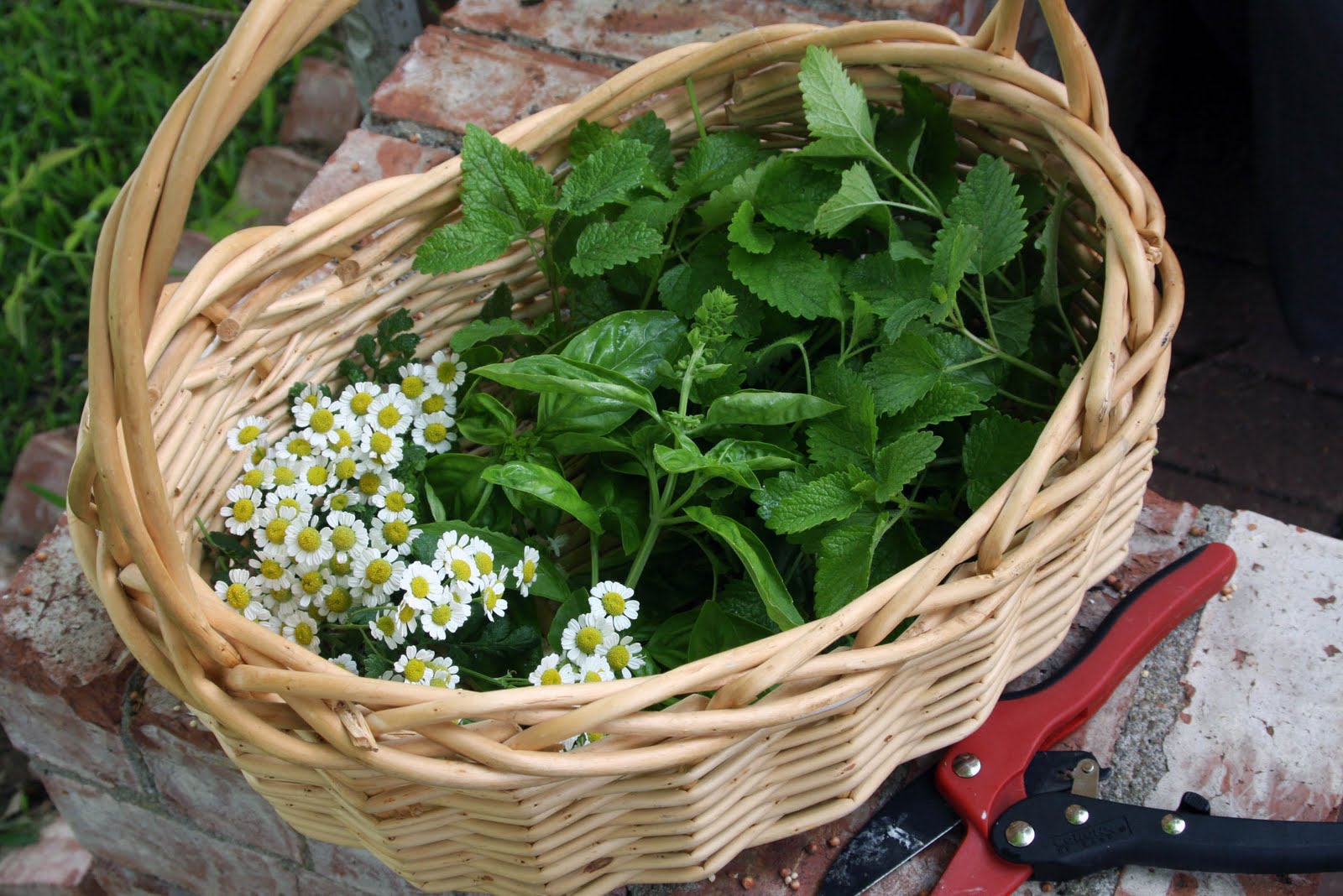 The Creamer Chronicles Make your own tea