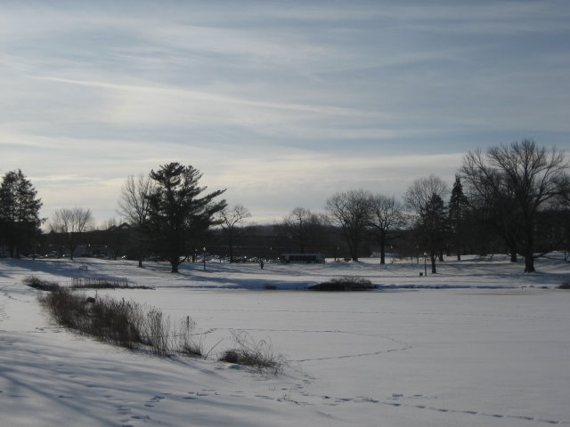 [IMG_0609.JPG]