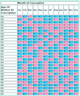 Pregnancy Calendar Girl on Chinese Pregnancy Calendar