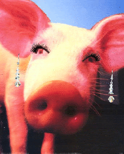 [pig_with_makeup.gif]