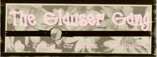 The Glauser Gang