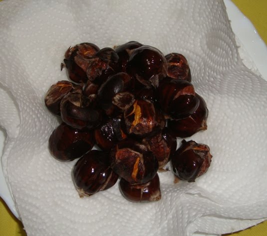 [castanhas_4.JPG]