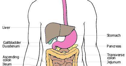 Muzułmanka w Europie: O Ramadaanie z nieco innej strony...
