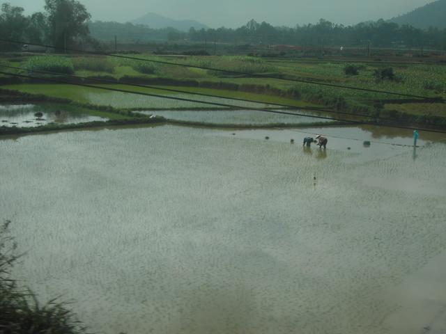 [PICT4043.JPG]