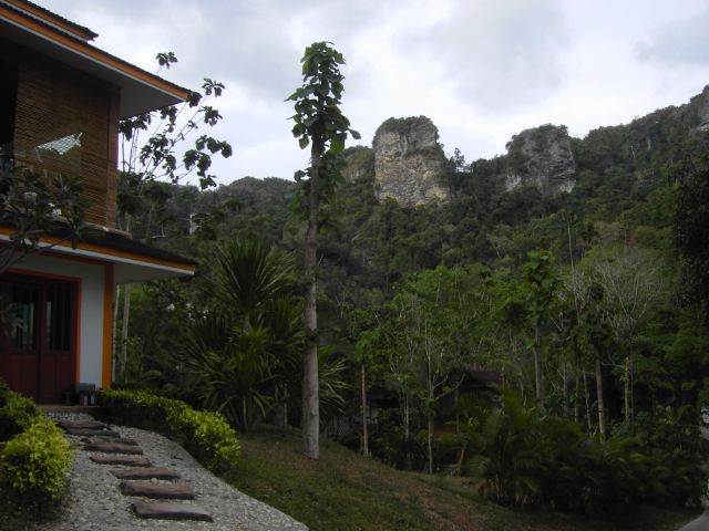 [PICT3234.JPG]