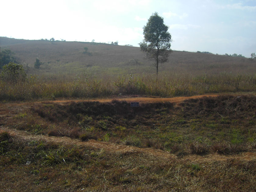 [PICT3351.JPG]