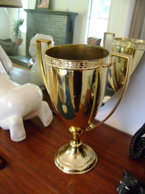 [DSC00884.JPG]