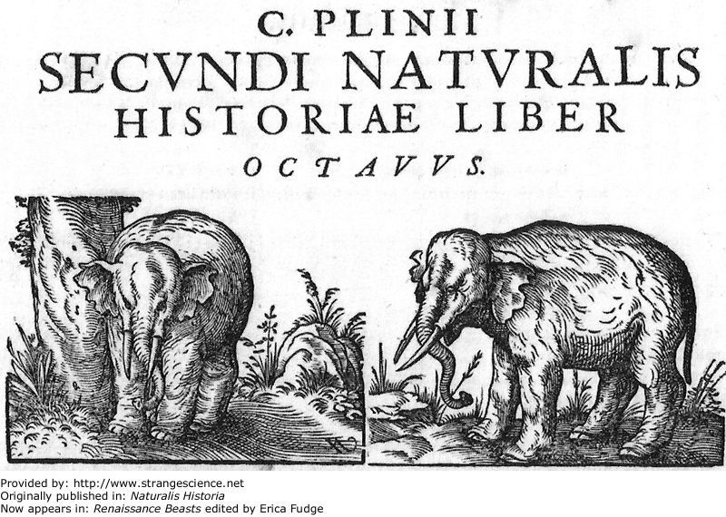 Bestiarios Cayo Plinio Cecilio Segundo “Plinio, el Viejo”